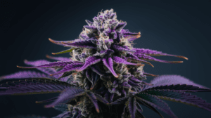 How to Store Agent Orange for Maximum Freshness