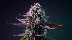 Medical Benefits of Agent Orange: Research and Patient Experiences