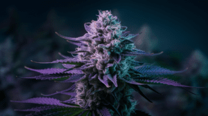 Agent Orange for Sleep: Does It Really Help Insomnia?