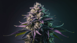 The History of Agent Orange: Origins and Cultural Impact